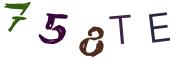 Image CAPTCHA